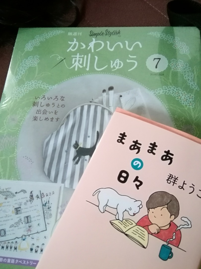 セミリタイアとレビュー まあまあの日々 群ようこ 瞬間と夢とあなたのこと